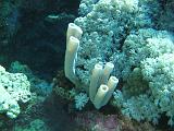 2009-12-04 11-17-44S